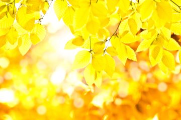 夏用ファンデを秋用に