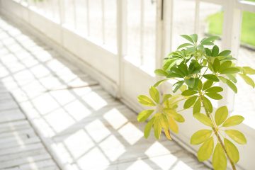 入院中の母のケア、アイテムいろいろ