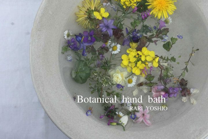 Botanical hand bath