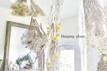 Hanging plants 植物をドライにして楽しむこと